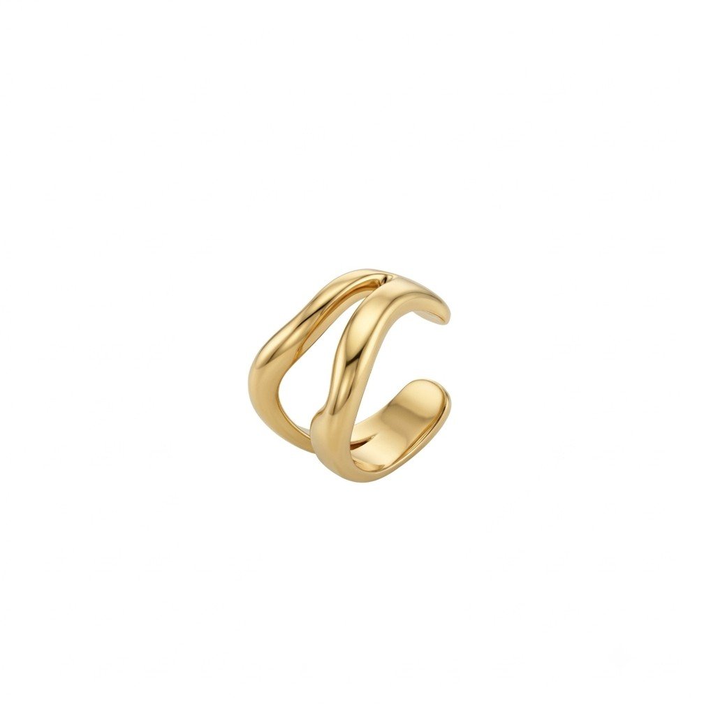 Earcuff double ligne acier inoxydable Sculptura